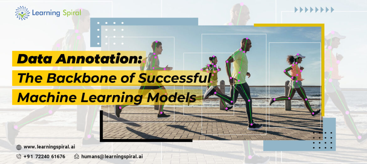 The_Backbone_of_Successful_Machine_Learning_Models-01