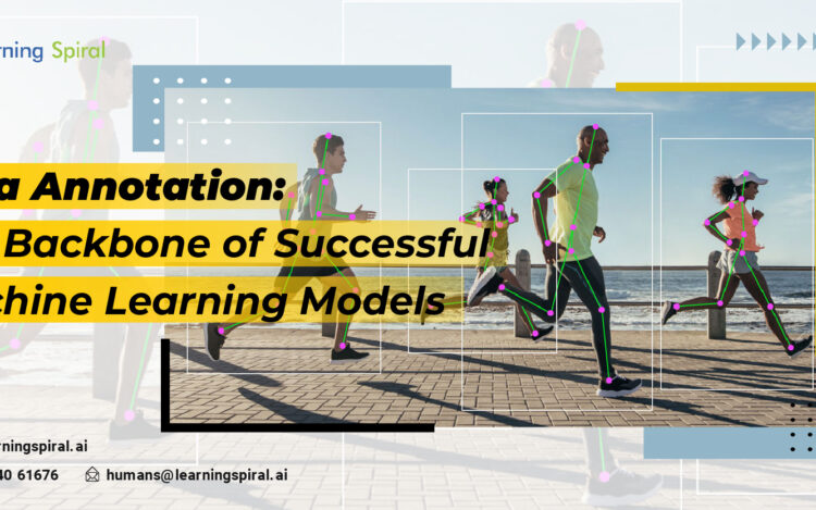 The_Backbone_of_Successful_Machine_Learning_Models-01