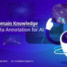 The_Role_of_Domain_Knowledge_in_Effective_Data_Annotation