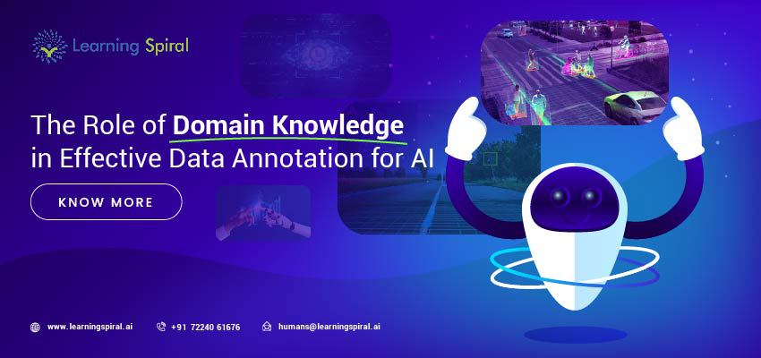 The_Role_of_Domain_Knowledge_in_Effective_Data_Annotation