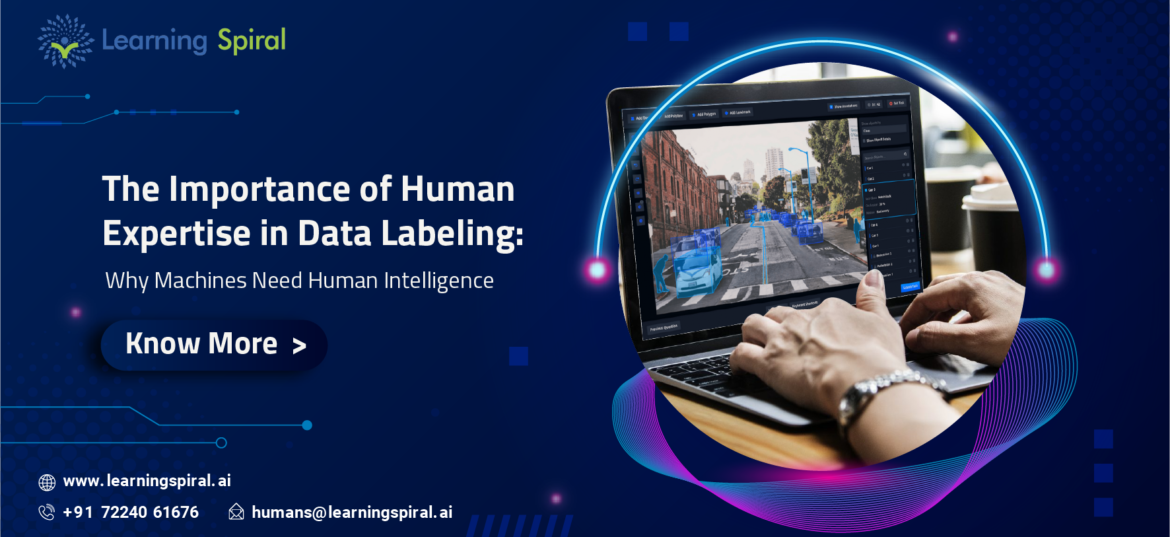 Human_Expertise_in_Data_Labeling-01