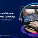 Human_Expertise_in_Data_Labeling-01