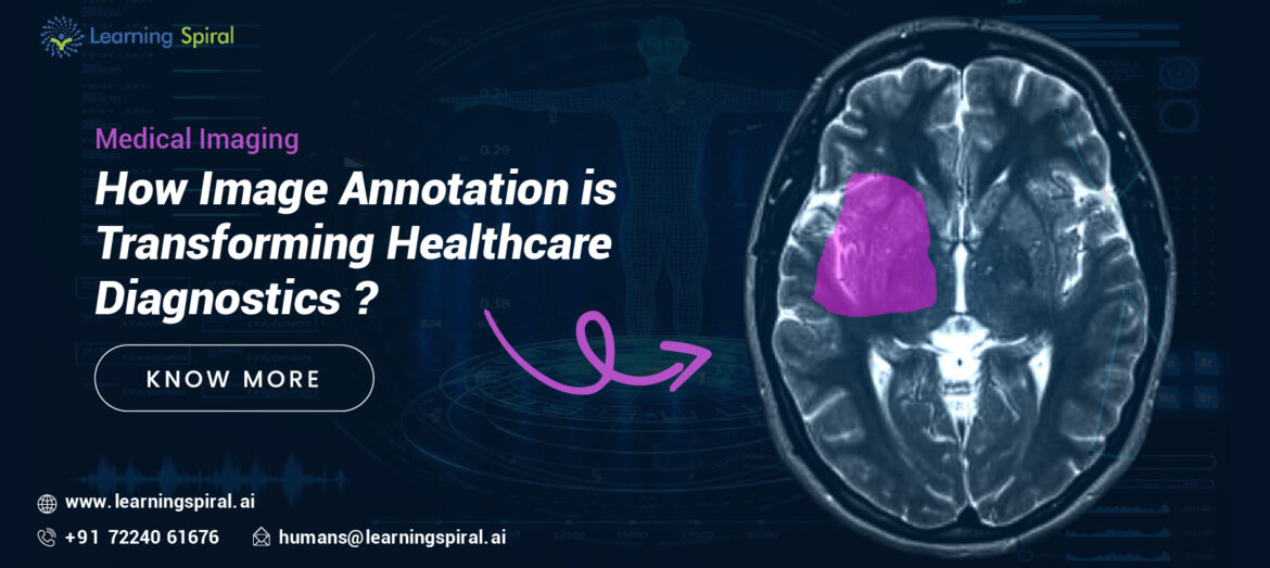 Data Annotation