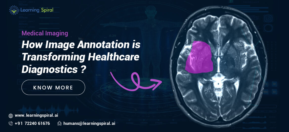 Data Annotation