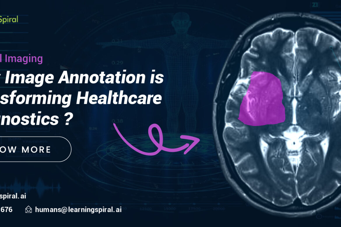 Data Annotation