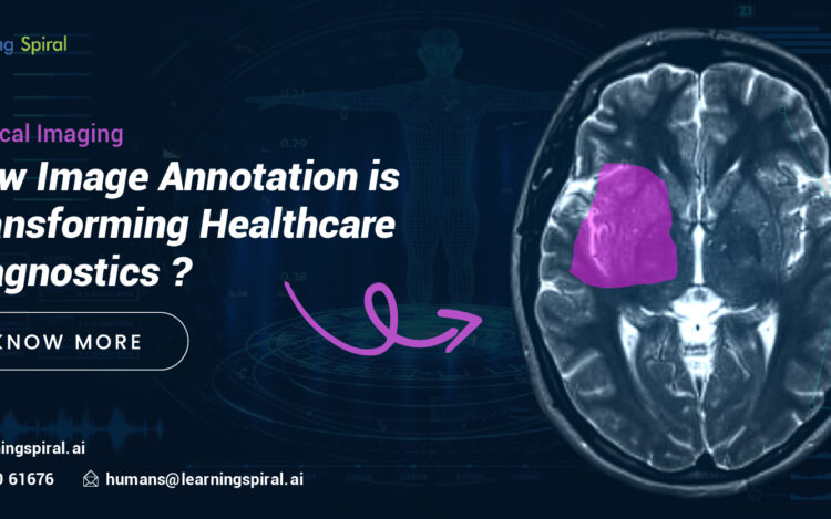 Data Annotation