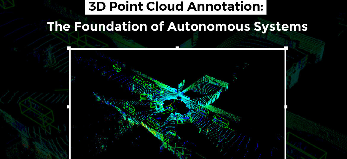 Data Annotation Company