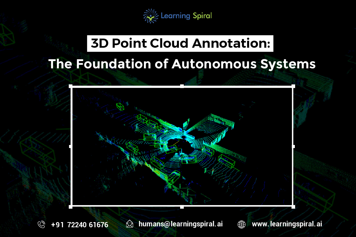 Data Annotation Company