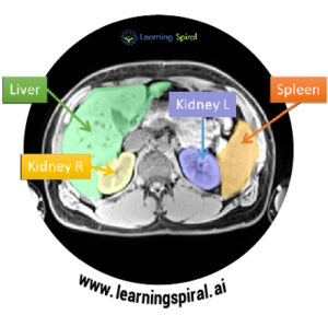Medical data annotation