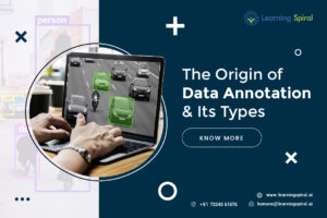 Data Annotation Company