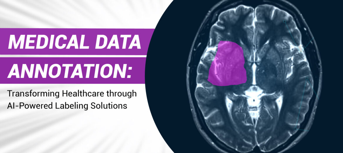 Medical Data Annotation