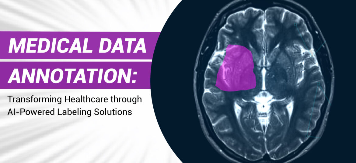 Medical Data Annotation