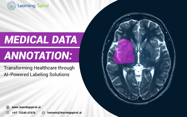 Medical Data Annotation