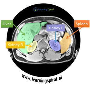 Medical Data Annotation