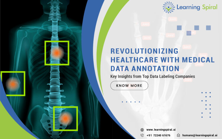 Medical Data Annotation