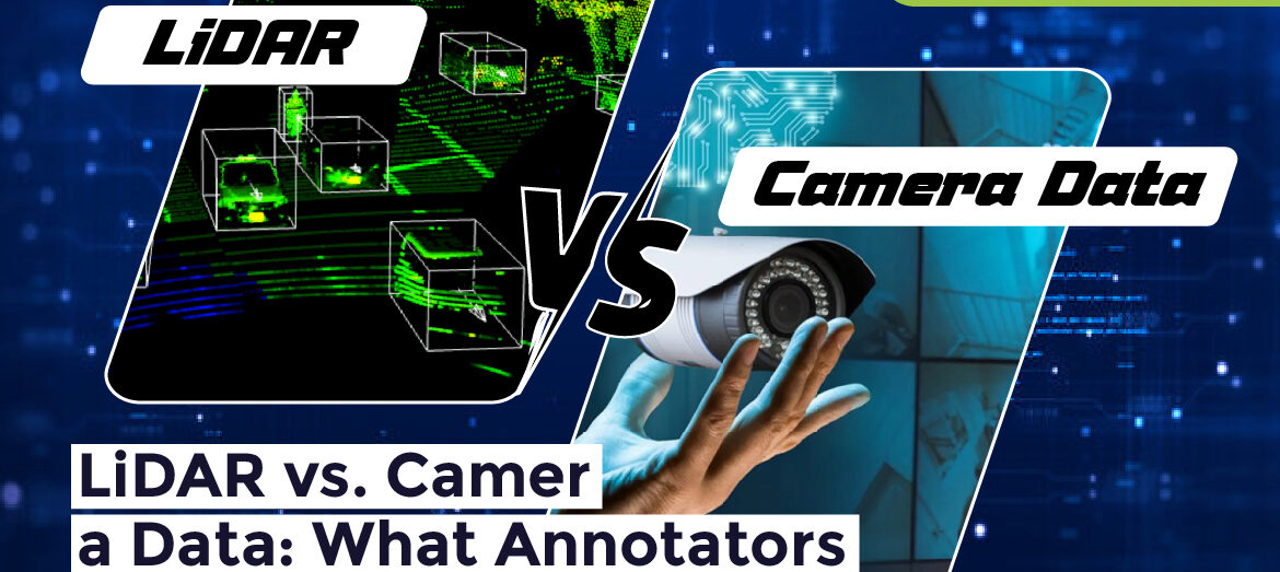 Data Annotation Company