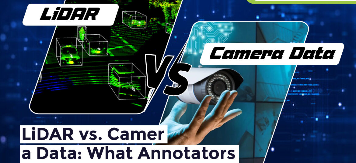 Data Annotation Company