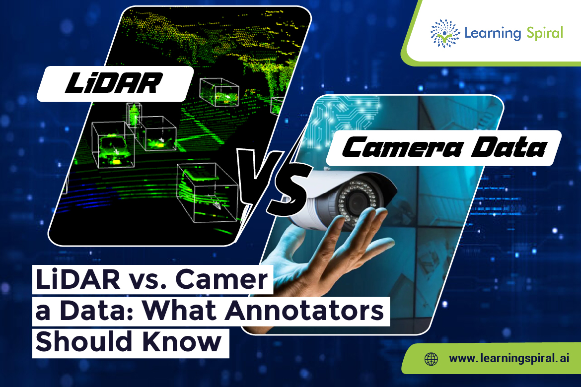 Data Annotation Company