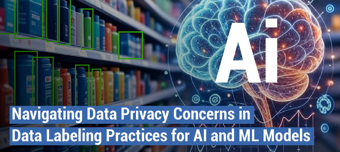 Data Annotation Company