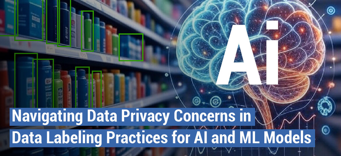 Data Annotation Company