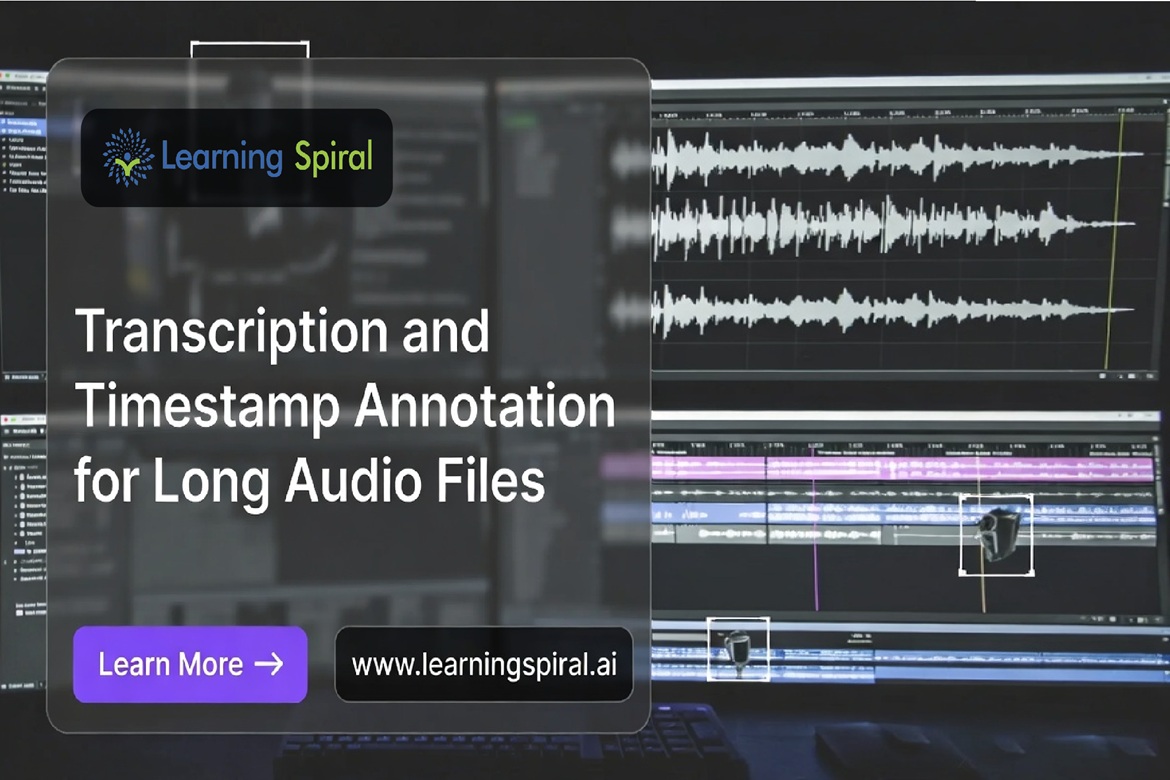 Data annotation company