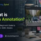 Illustration showing how data annotation labels images and text to train AI and ML models, supported by Learning Spiral AI experts.